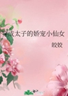 穿成太子的嬌寵小仙女小說封面圖