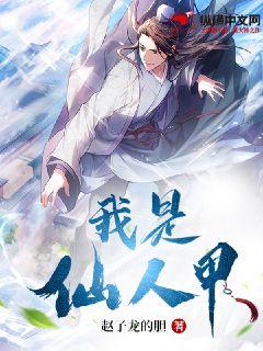 我是仙人甲小說封面圖