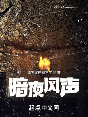 暗夜風聲小說封面圖