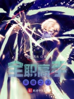 全職高手：榮耀之上小說封面圖