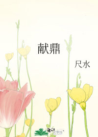 獻鼎小說封面圖