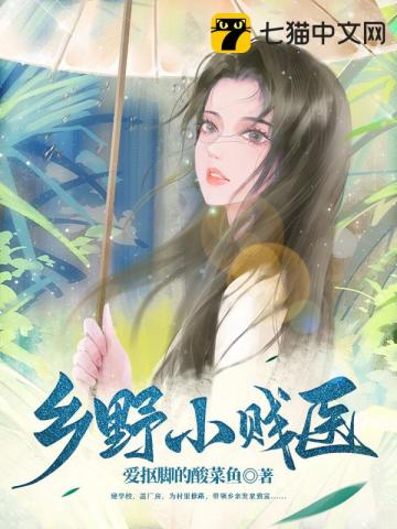 鄉野小賤醫小說封面圖