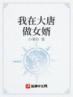 我在大唐做女婿小說封面圖