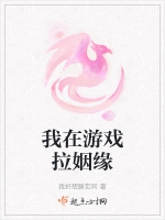 我在遊戲拉姻緣小說封面圖