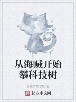 從海賊開始攀科技樹小說封面圖