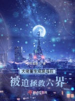 大佬重生成菜鳥後被迫拯救六界小說封面圖