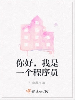 你好，我是一個程序員小說封面圖