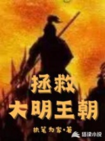 拯救大明王朝小說封面圖
