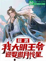 綜武：我大明王爺，迎娶邀月憐星小說封面圖