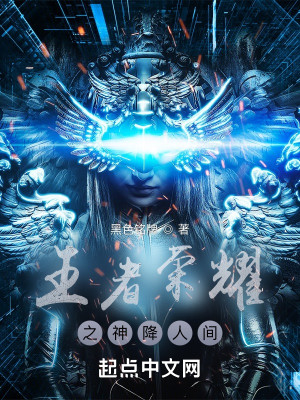 王者榮耀之神降人間小說封面圖
