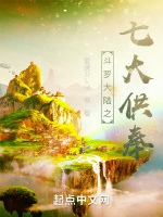 斗羅大陸之七大供奉小說封面圖