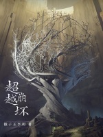 超越崩壞小說封面圖
