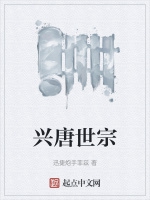 興唐世宗小說封面圖