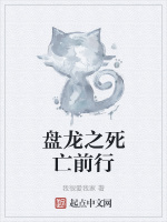 盤龍之死亡前行小說封面圖