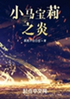 小馬寶莉之炎小說封面圖