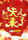 噓！夫人來了小說封面圖