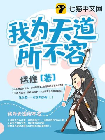 我爲天道所不容小說封面圖