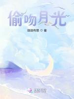偷吻月光小說封面圖