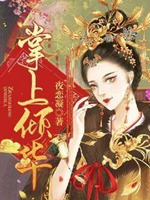 掌上傾華小說封面圖