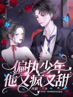 偏執少年他又瘋又甜小說封面圖