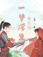 一夢浮生看紅塵小說封面圖