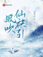 風吹仙袂引小說封面圖