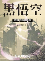 黑悟空：我將會超越原身！小說封面圖