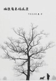 她沒有來過這裏小說封面圖