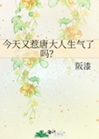 今天又惹唐大人生氣了嗎?小說封面圖