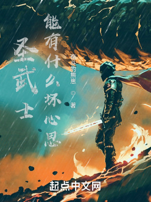 聖武士能有甚麼壞心思小說封面圖