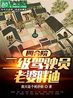 四合院，二級駕駛員，老婆胖迪小說封面圖