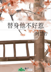 替身他不好惹小說封面圖