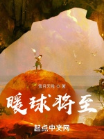 暖球將至小說封面圖