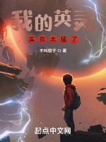 我的英靈實在太猛了小說封面圖