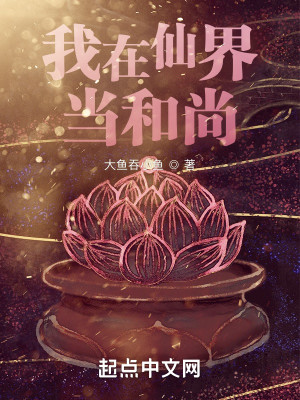 我在仙界當和尚小說封面圖