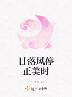 日落風停正美時小說封面圖