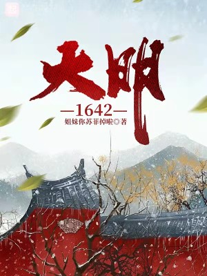 大明1642小說封面圖