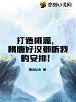 打造桃源，隋唐好漢都聽我的安排！小說封面圖