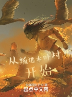 從叛逃木葉村開始小說封面圖