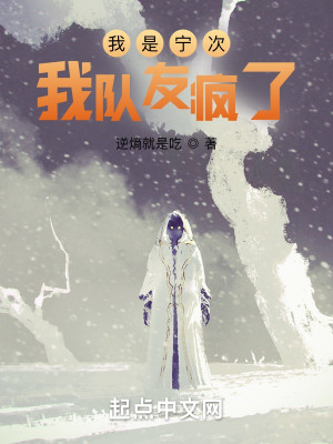 我是寧次我隊友瘋了小說封面圖