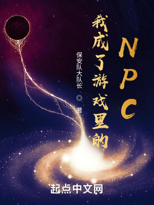 我成了遊戲裏的NPC小說封面圖