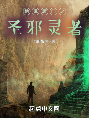 絕世唐門之聖邪靈者小說封面圖