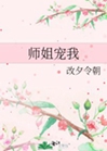 師姐寵我小說封面圖