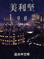 美利堅1982小說封面圖