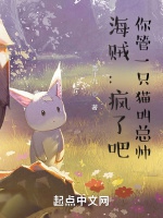 海賊：瘋了吧！你管一隻貓叫總帥小說封面圖