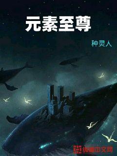 元素至尊小說封面圖