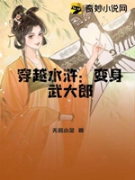 穿越水滸：變身武大郎小說封面圖