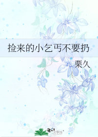 撿來的小乞丐不要扔小說封面圖