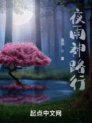 夜雨神路行小說封面圖