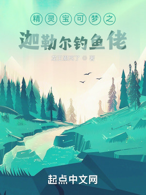 精靈寶可夢之迦勒爾釣魚佬小說封面圖